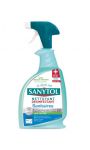 Professionnel Désinfectant sanitaire eucalyptus Sanytol