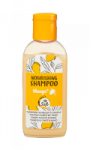 Shampooing mangue et beurre de noix Carrefour Soft