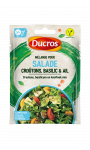 Melange pour salade Ducros