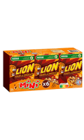 Céréales mini caramel et chocolat 6x40g Lion Nestlé Céréales mini caramel et chocolat 6x40g Lion Nestlé