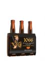 Bière ambrée bio 1066