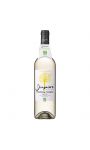 Vin blanc chardonnay sauvignon bio Diapason