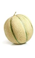 Melon charentais bio