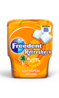 Chewing-gum goût tropical Refreshers Freedent