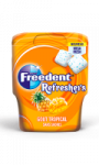 Chewing-gum goût tropical Refreshers Freedent