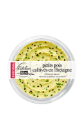 Tartinable de petits pois, fromage frais, menthe et citron Atelier Blini