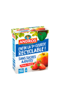 Compote en gourde pomme fraise sans sucres ajoutés Andros