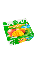 Dessert de fruits sans sucres ajoutés pomme mangue passion Carrefour Classic\'