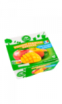 Dessert de fruits sans sucres ajoutés pomme mangue passion Carrefour Classic'