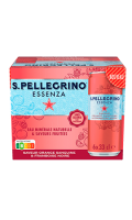 Eau minérale naturelle saveur orange sanguine et framboise Essenza San Pellegrino