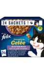 Pâtée pour chat en gelée aromatisée mixte Felix