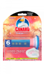 Bloc WC Fresh Disc Cosmic Peach Canard