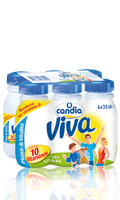 Lait Vitaminé Bouteille 25cl x 6 Viva Candia