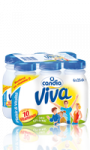 Lait Vitaminé Bouteille 25cl x 6 Viva Candia