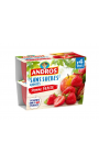Compote pomme fraise sans sucres ajoutés Andros