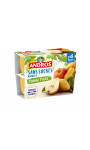 Compote pomme poire sans sucres ajoutés Andros