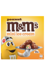 Glace mini peanut M&M'S