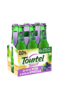 Bière Sans Alcool Au Jus De Mûre Et Notes De Myrtille 0.0° Tourtel Twist