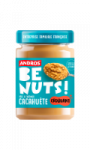 Pâte à tartiner cacahuètes croquant Andros Be Nuts