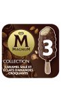 Glace Bâtonnet Caramel Salé & Eclats D'amandes Croquants Magnum