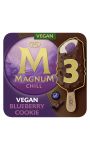 Glace bâtonnet vegan blueberry cookie Magnum