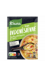 Soupe Déshydratée Indonésienne Knorr