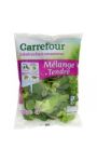 Salade Mélange Tendre Carrefour