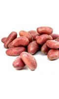 Pommes de terre rouges Filière Qualité Carrefour