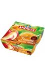 Compotes morceaux pomme cannelle Andros