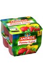 Dessert fruitier pomme fraise Andros