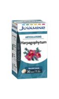 Gélules Harpagophytum/Articulations Juvamine