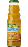 Nectar CARAIBOS Mangue