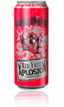 Bière Red Fruit Xplosion Gordon
