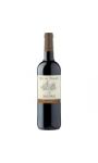 Vin rouge Saint Mont Duc de Termes