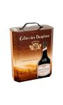 Vin rouge Côtes du Rhône Villages Cellier des Dauphins