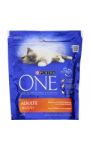 Croquettes chats One Adulte poulet Purina