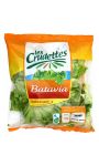 Salade Batavia Les Crudettes