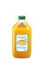 Jus d'oranges 100% pur jus sans pulpe Andros
