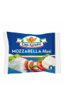 Mozzarella maxi format 250G Casa Azzurra