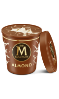 Crème Glacée Amande Magnum