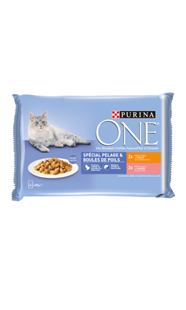 PURINA ONE Pelage & Boules de Poils pour chat