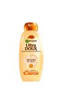 Shampooing trésors de miel Garnier Ultra Doux
