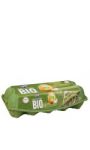 10 Oeufs Frais Biologique- Emballage Herbe Eco