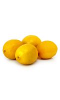 Citrons bio Primofiori