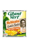 Maïs Tendre Ma Récolte Estelle Tanière Géant Vert