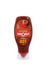 Amora Ketchup Hot épice piment 450g
