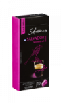 Capsules de café Salvador Carrefour Sélection