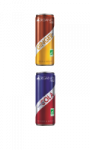 Organics Ginger - Red Bull - 250 ml