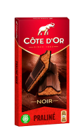 Chocolat praliné fondant noir Côte d\'Or