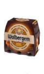 Bière d'Abbaye blonde Walbergem